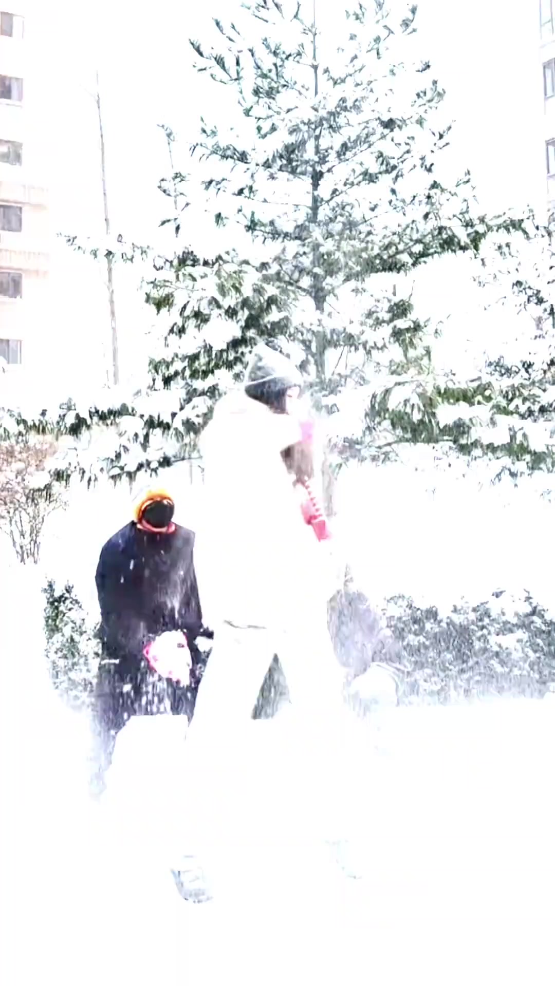 mk体育东北的冬天！赵继伟妻子晒二人玩雪视频：下雪啦！撒欢儿去